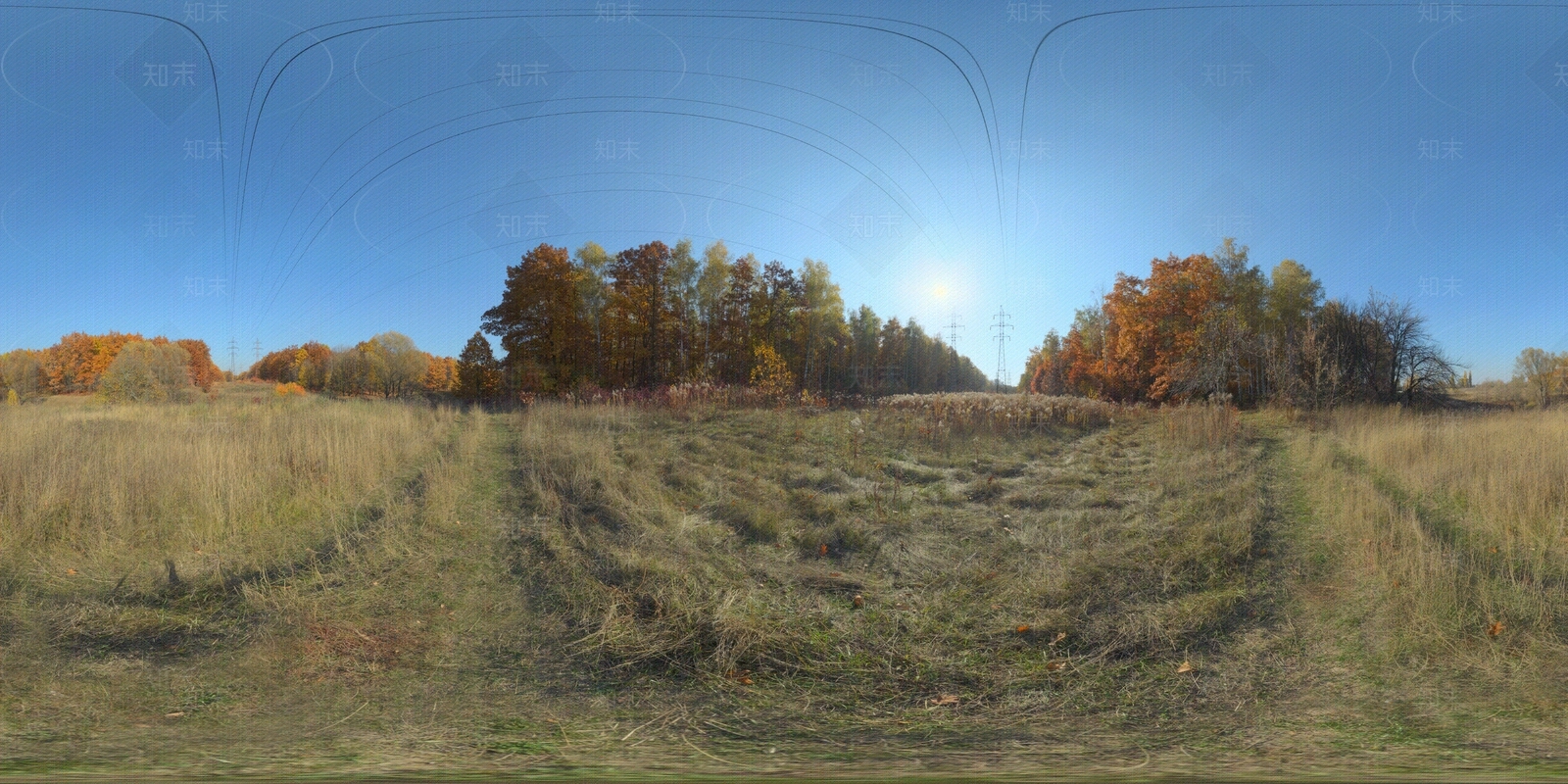 现代日式森林贴图下载【ID:1201490541】