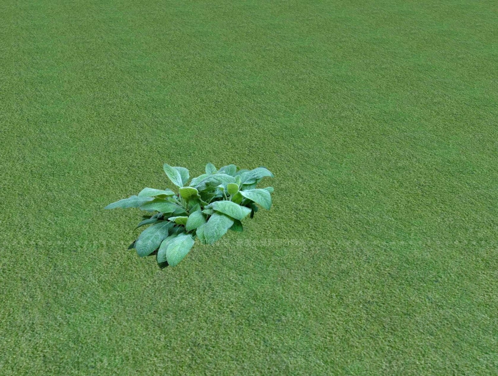 花草SU模型下载【ID:1201525206】