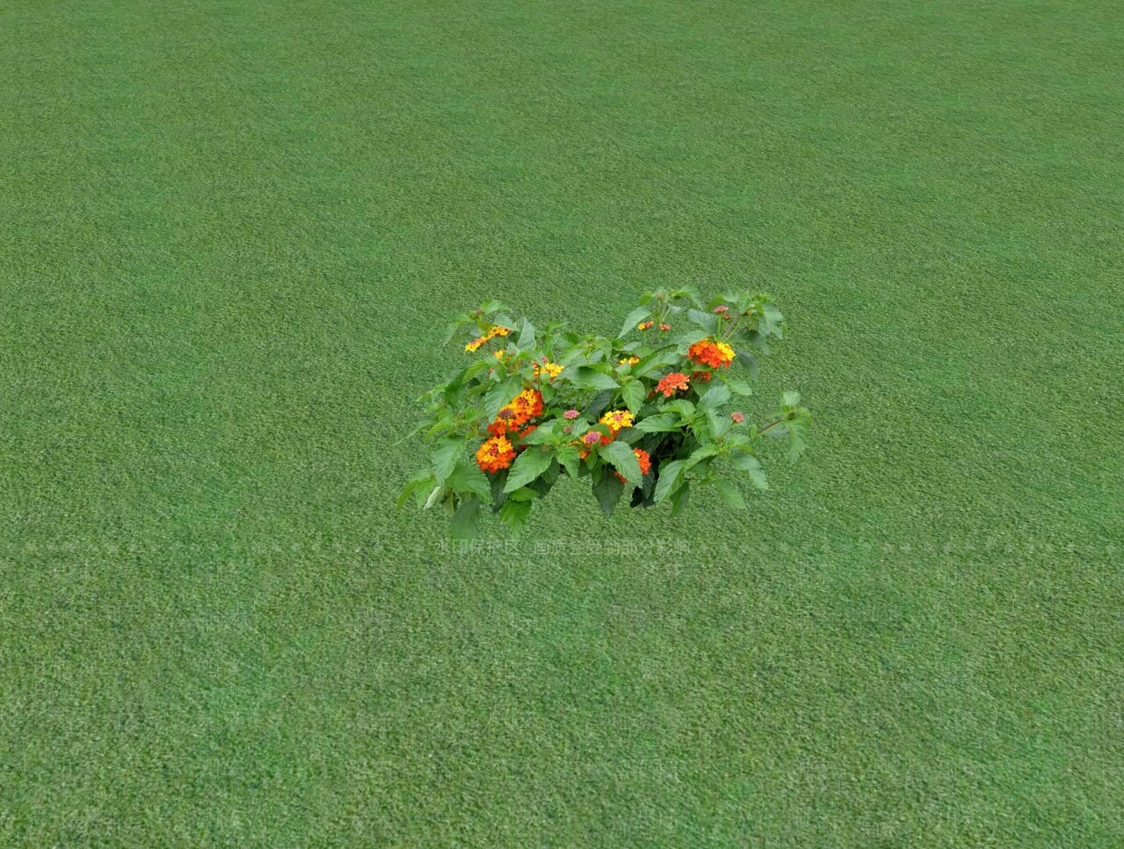 花草SU模型下载【ID:1201525473】