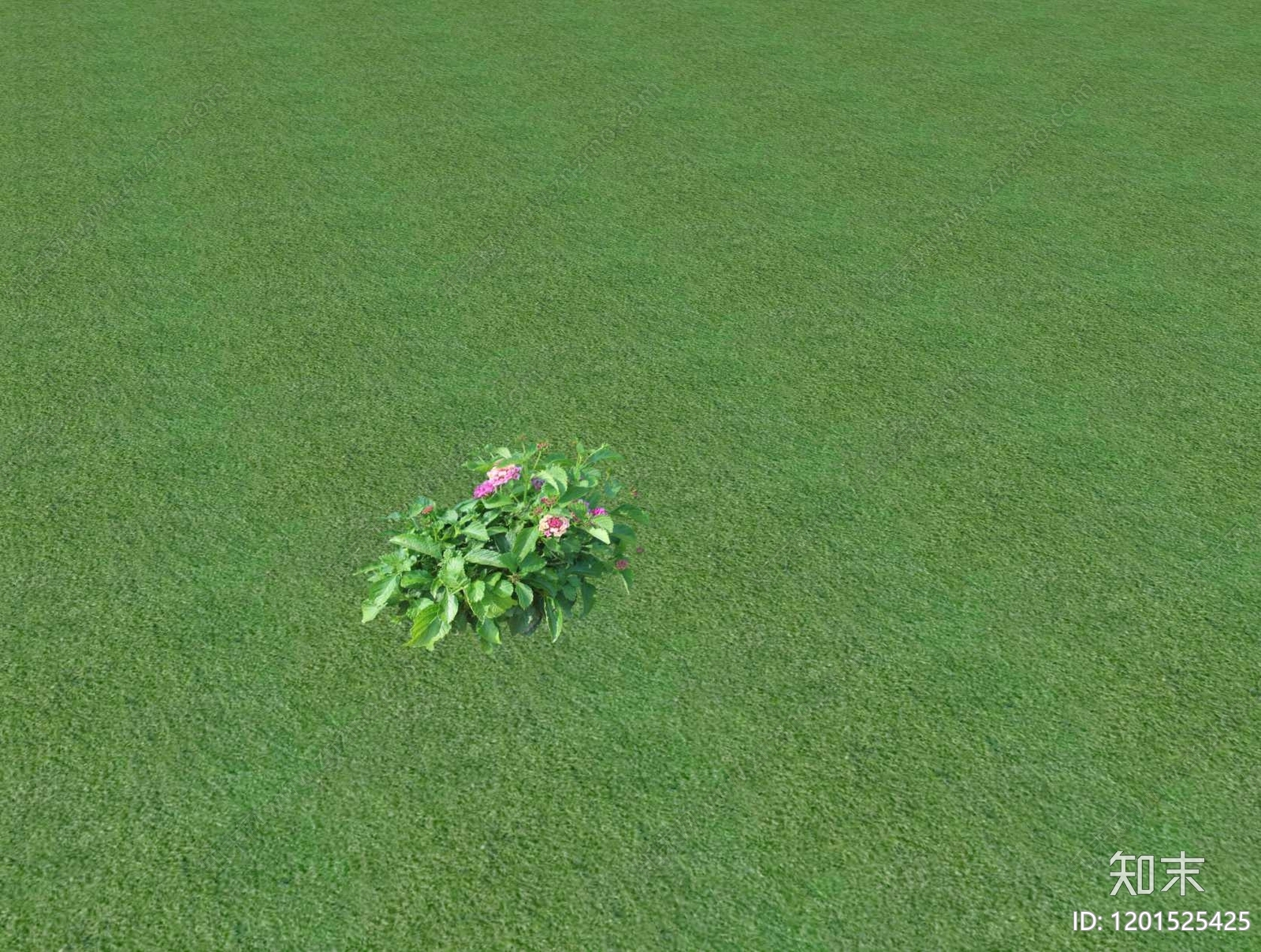 花草SU模型下载【ID:1201525425】