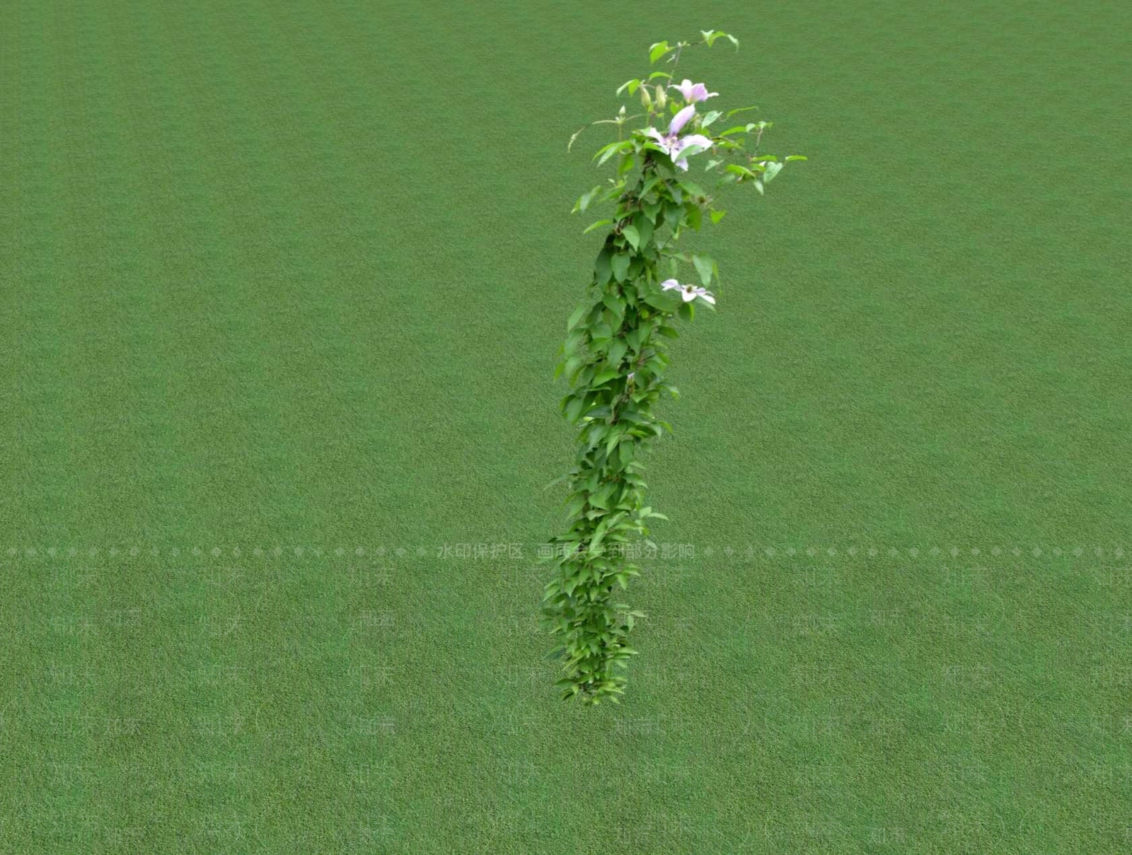 花草SU模型下载【ID:1201525567】