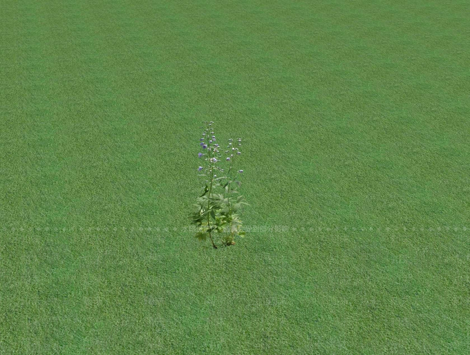 花草SU模型下载【ID:1201525695】