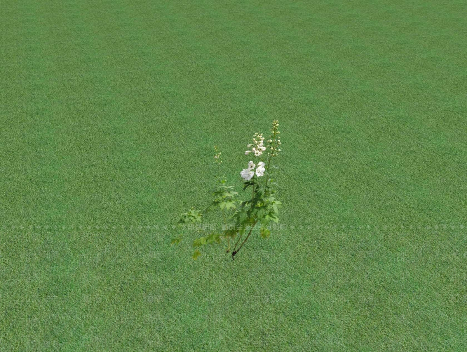 花草SU模型下载【ID:1201525648】