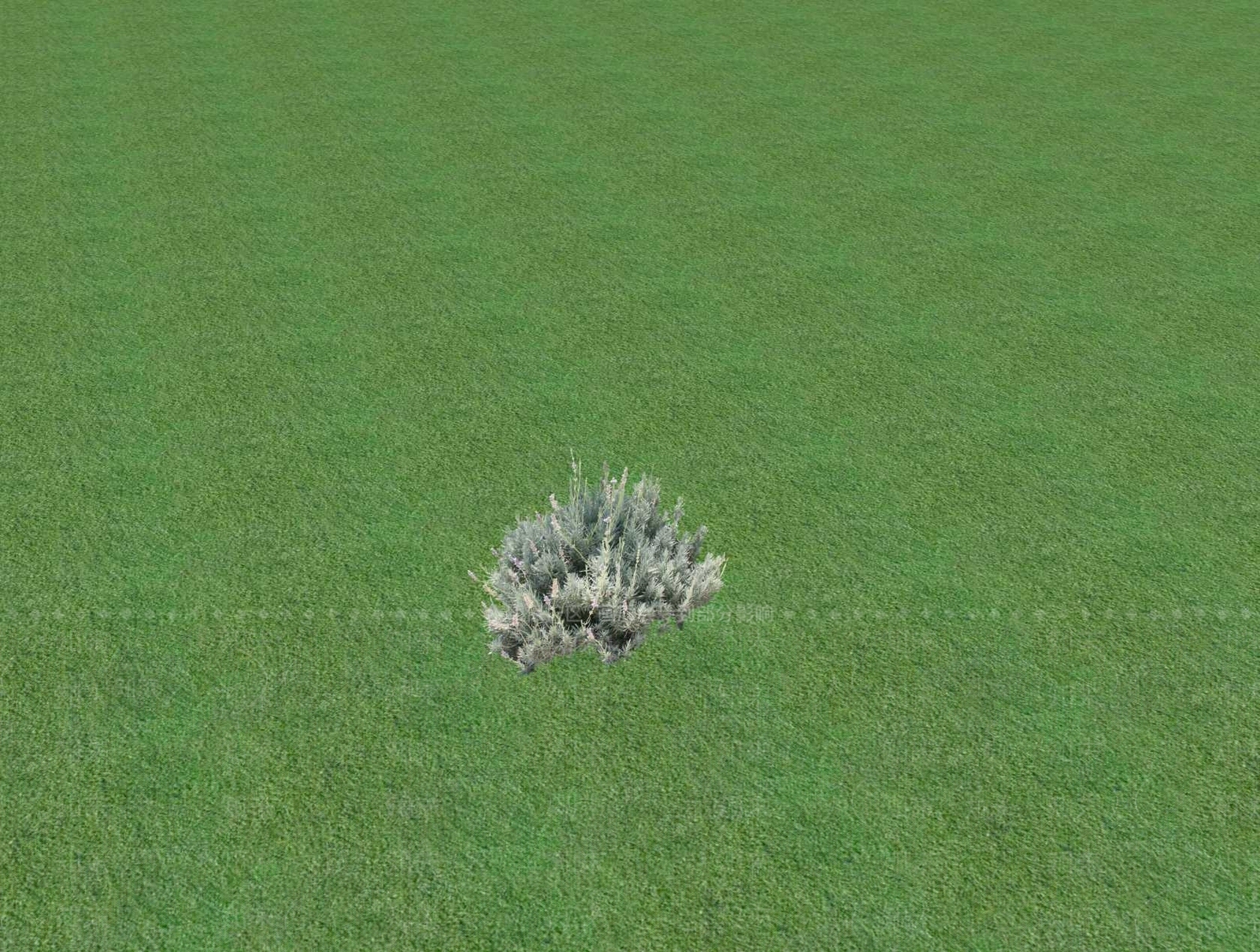 花草SU模型下载【ID:1201525762】