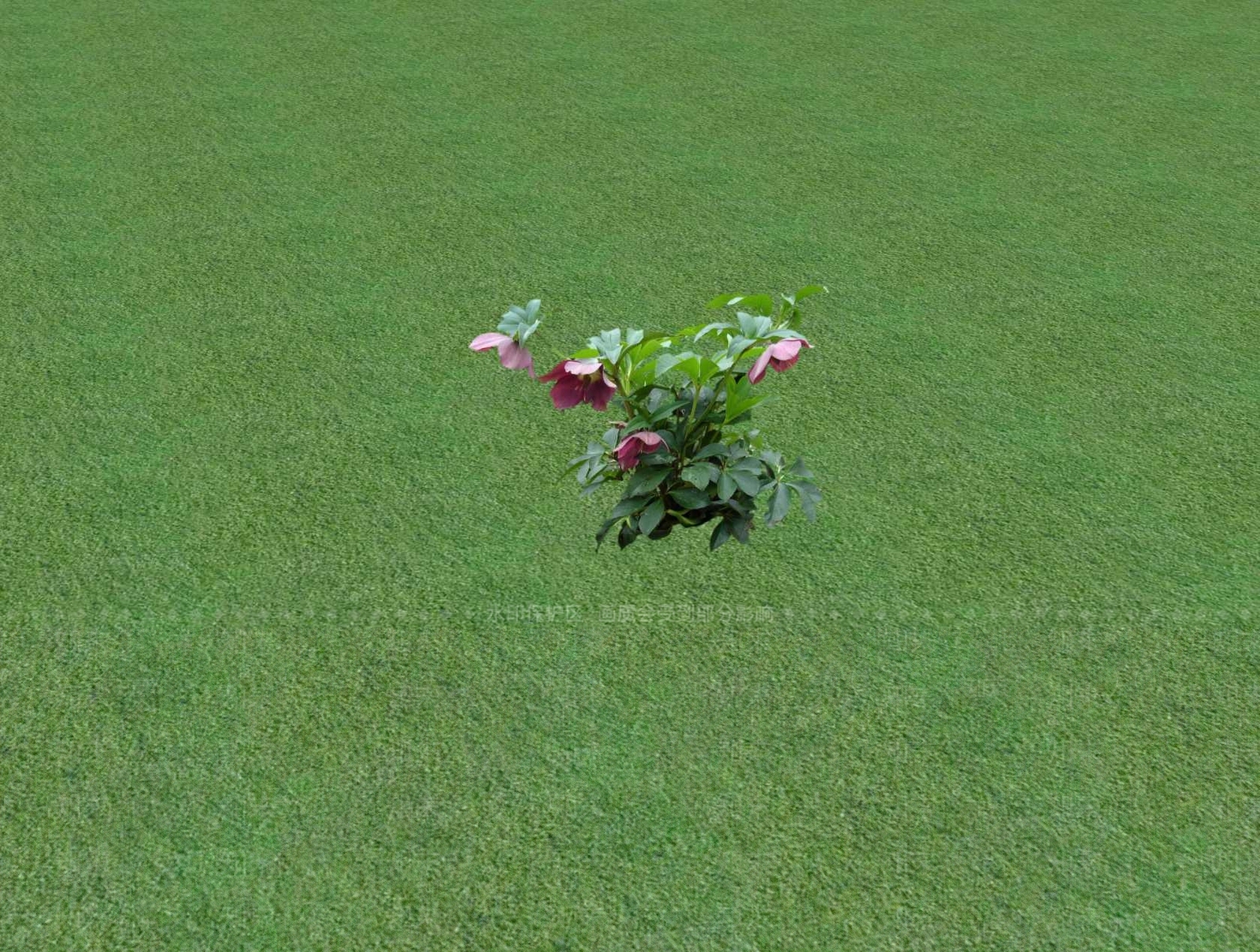 花草SU模型下载【ID:1201526079】