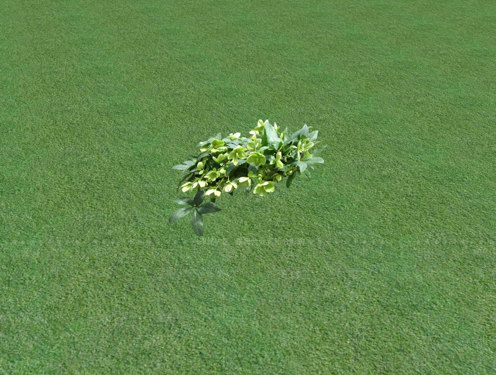 花草SU模型下载【ID:1201526166】