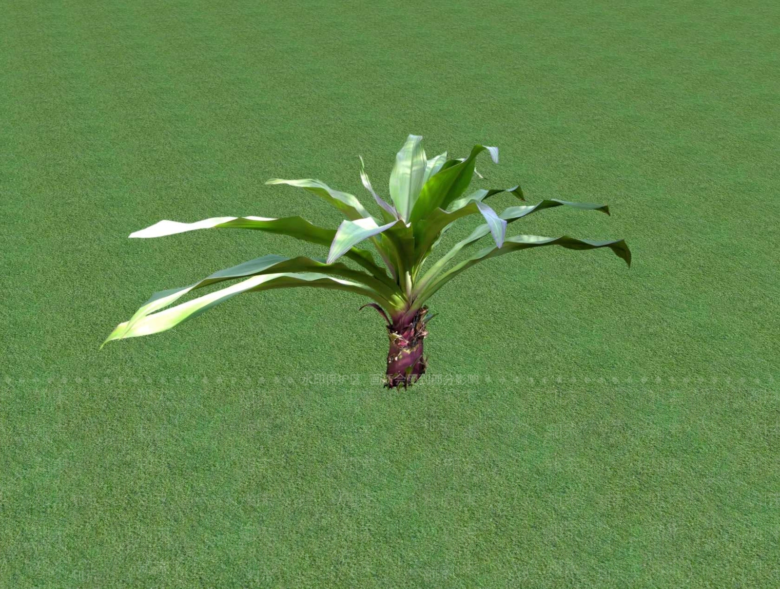 花草SU模型下载【ID:1201526419】