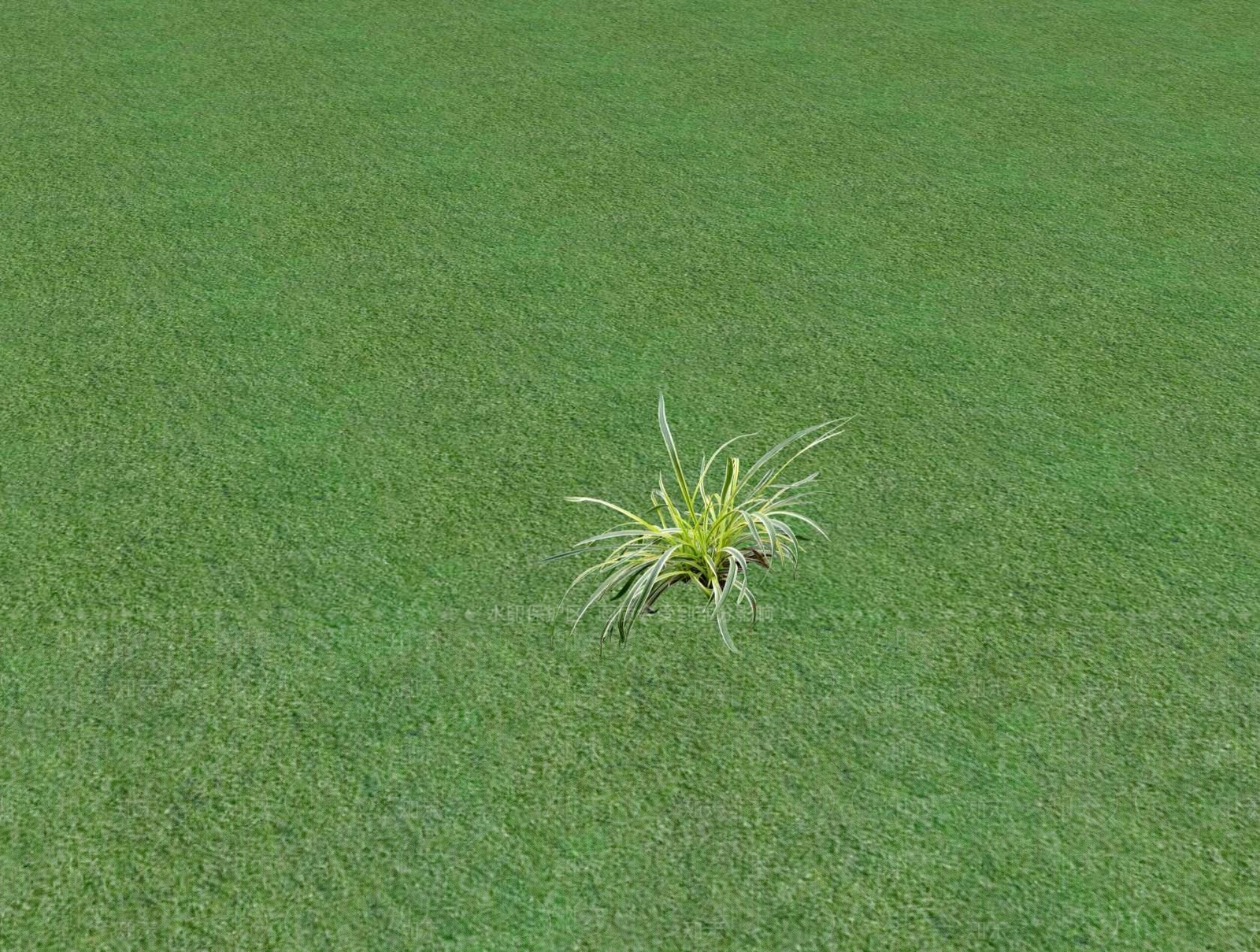 花草SU模型下载【ID:1201526523】