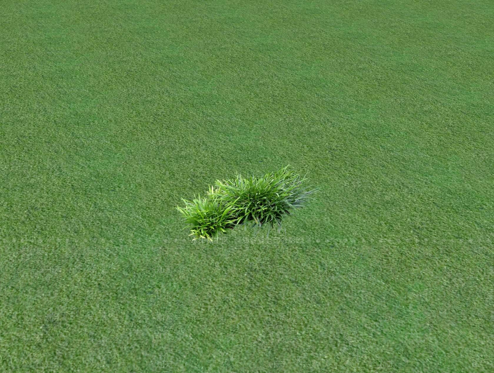 花草SU模型下载【ID:1201526515】