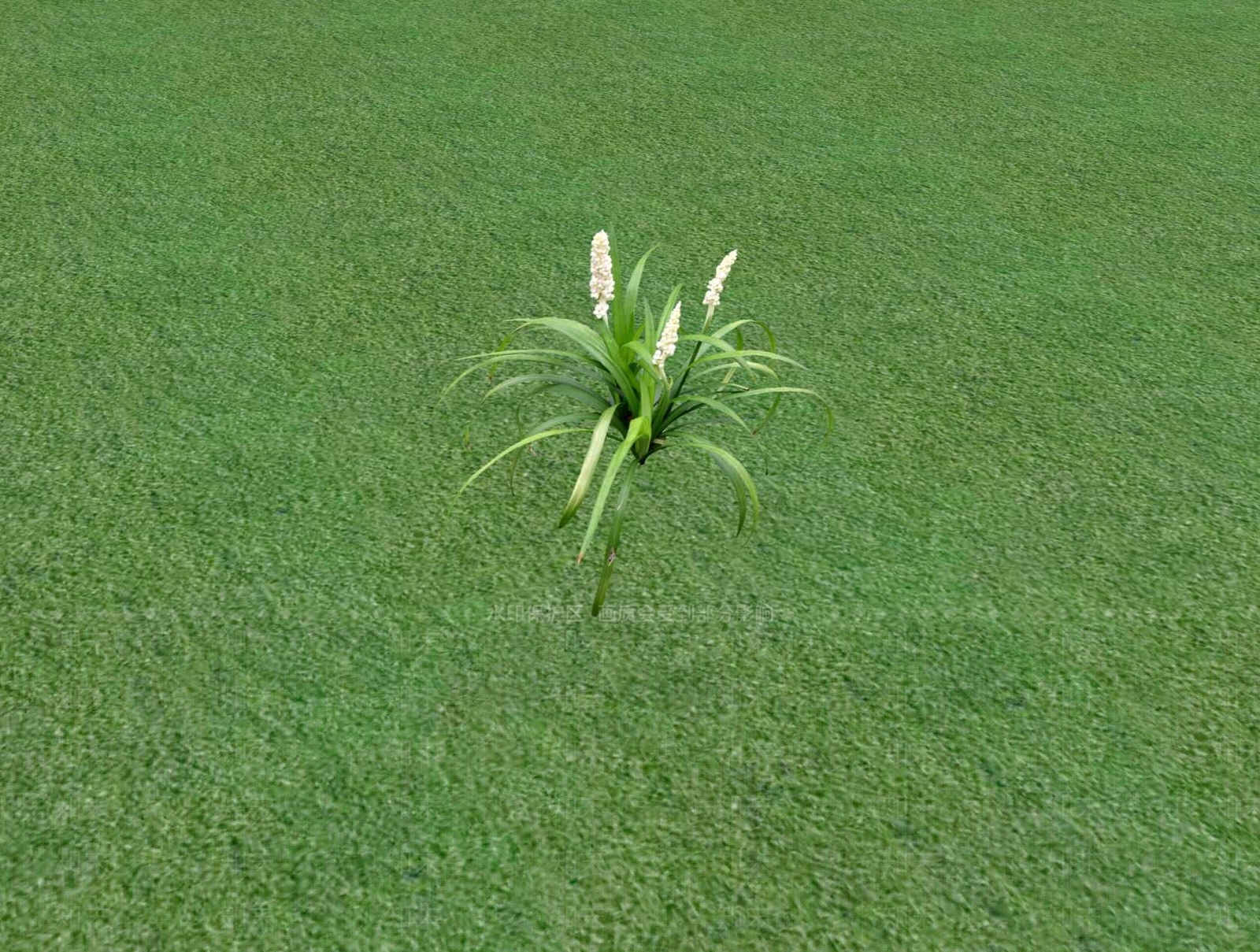 花草SU模型下载【ID:1201526613】