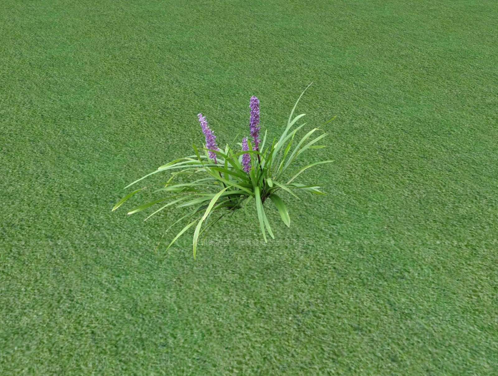 花草SU模型下载【ID:1201526637】