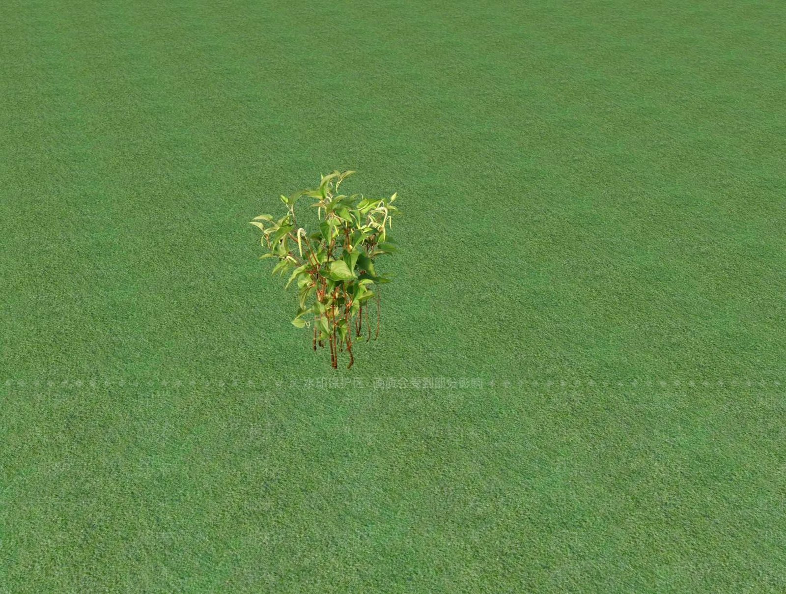 花草SU模型下载【ID:1201526757】