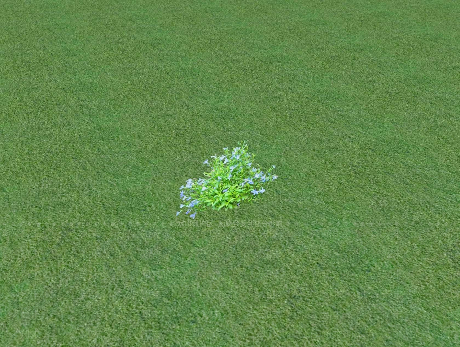 花草SU模型下载【ID:1201526855】