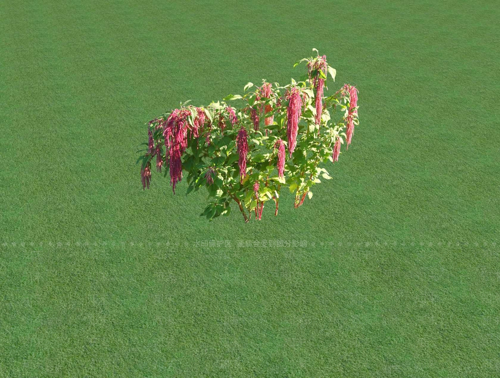 花草SU模型下载【ID:1201526982】