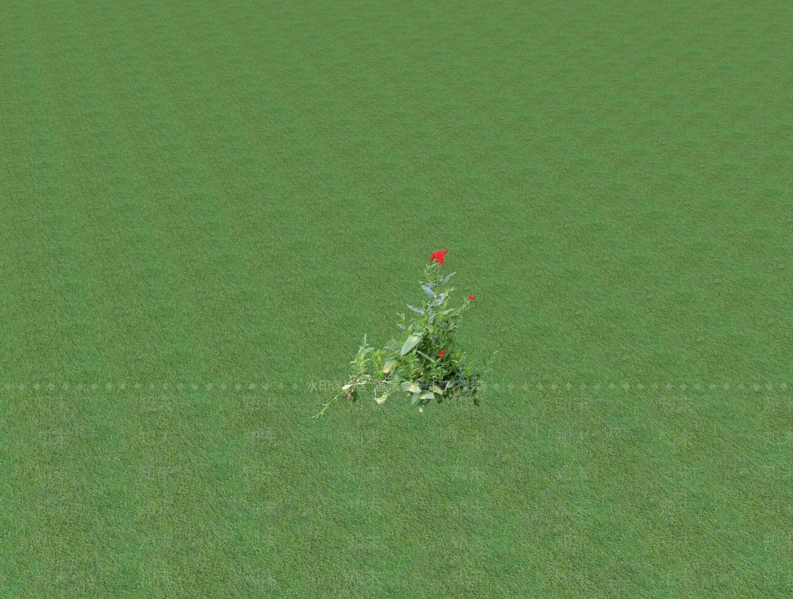 花草SU模型下载【ID:1201527167】