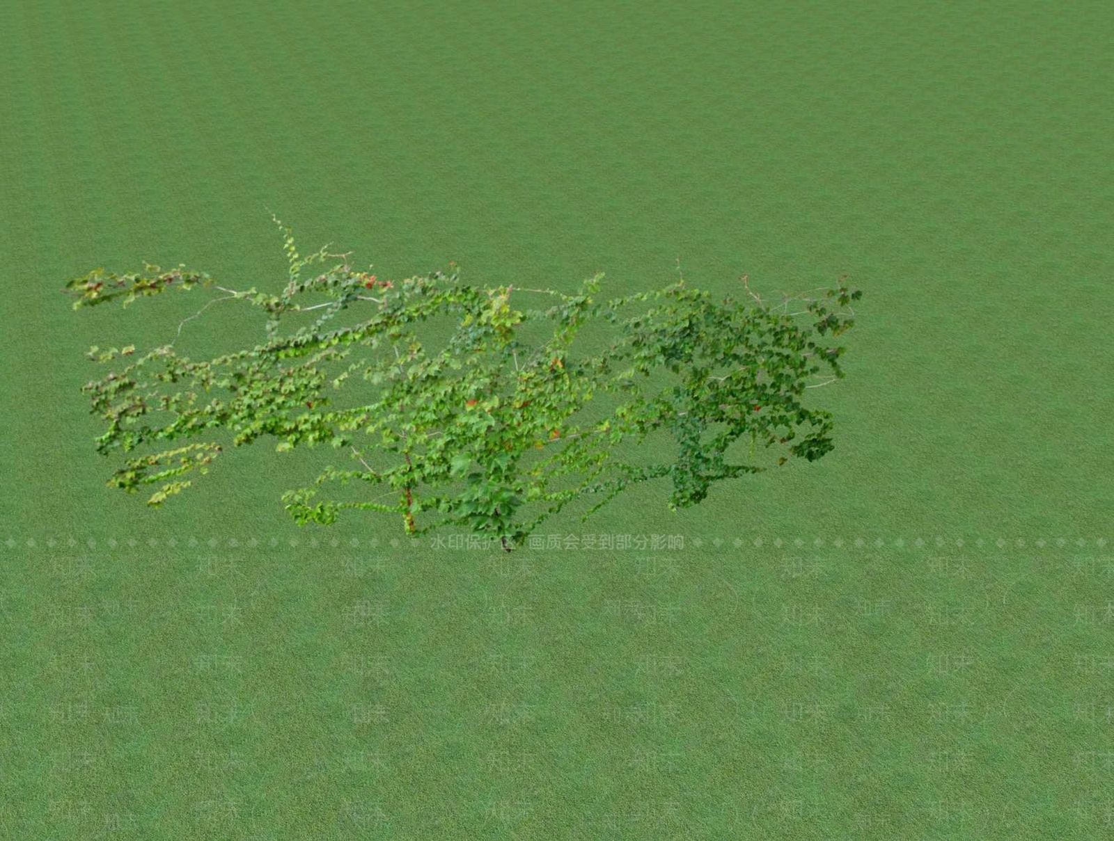 花草SU模型下载【ID:1201527223】