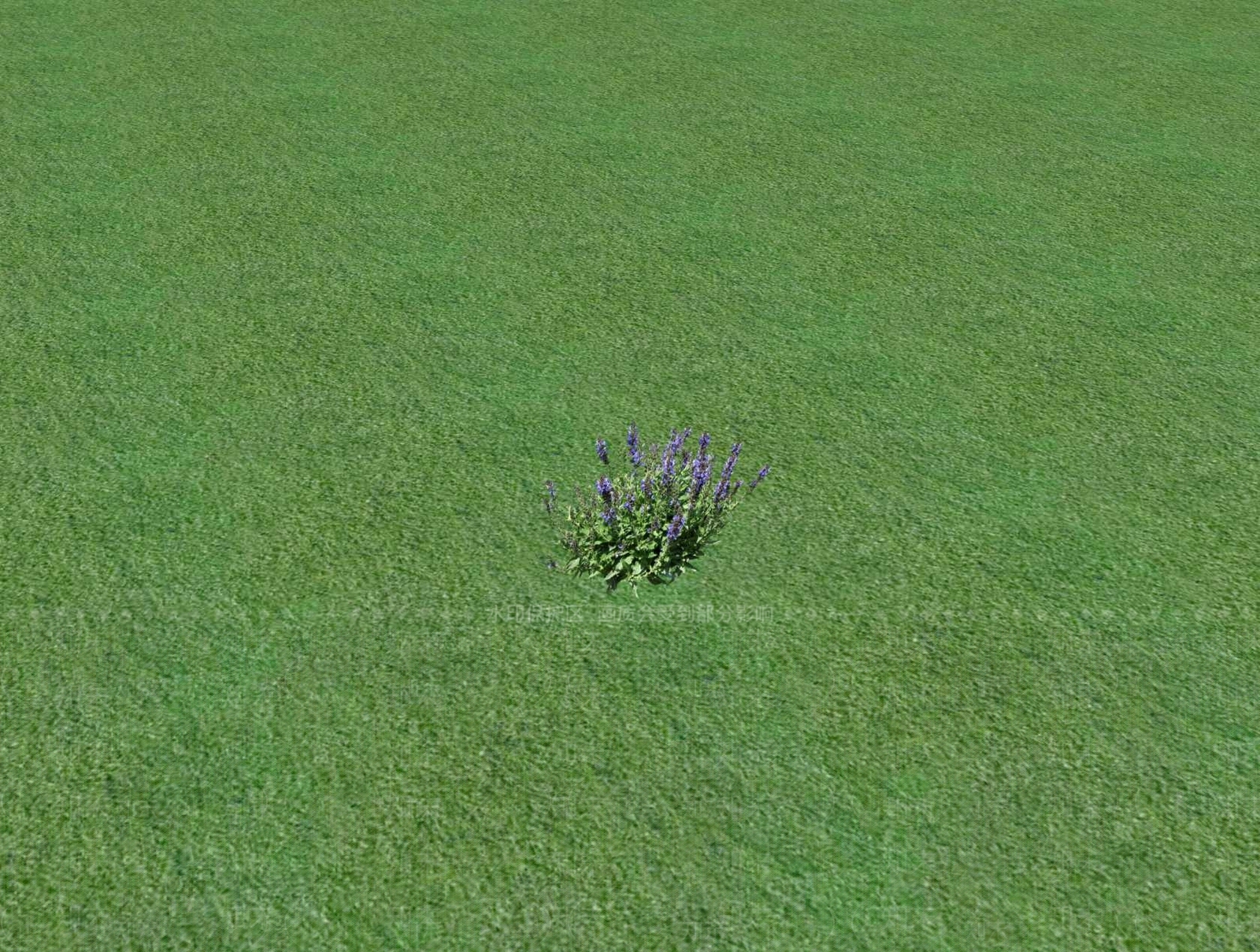 花草SU模型下载【ID:1201527216】