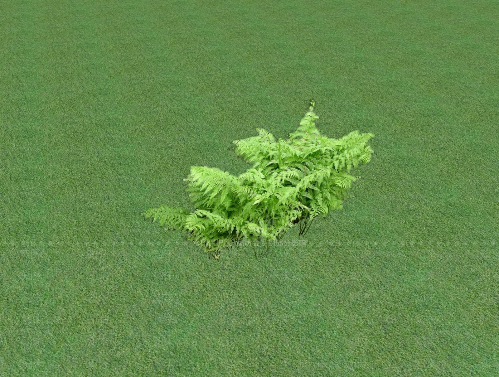 花草SU模型下载【ID:1201527257】
