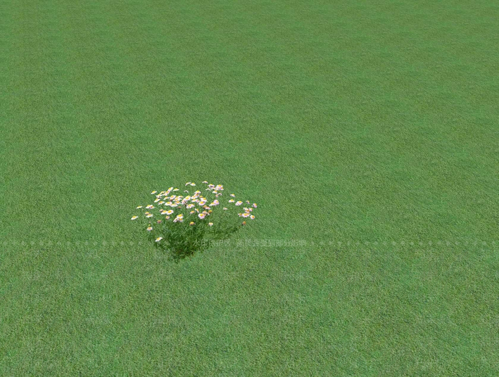 花草SU模型下载【ID:1201527364】