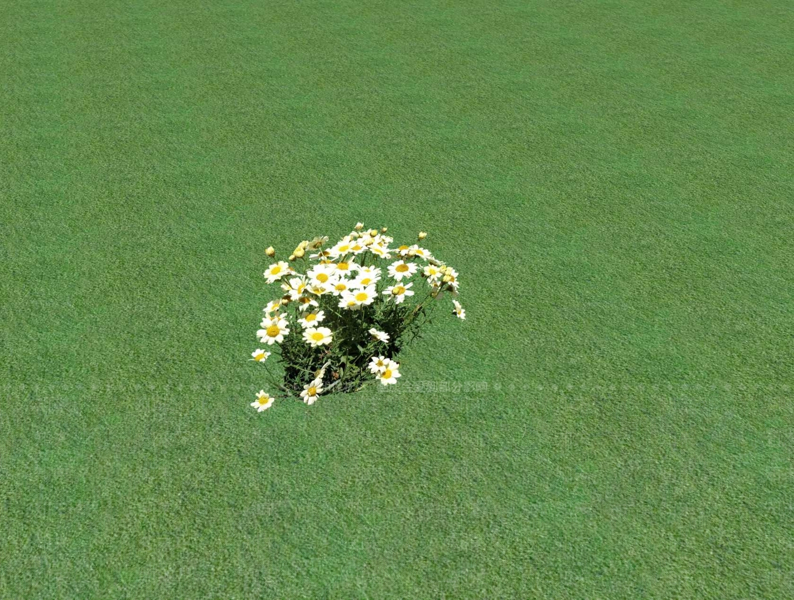 花草SU模型下载【ID:1201527356】