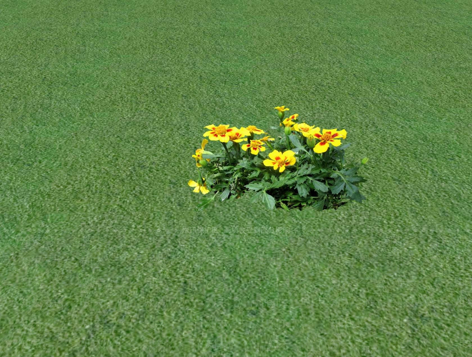 花草SU模型下载【ID:1201527566】
