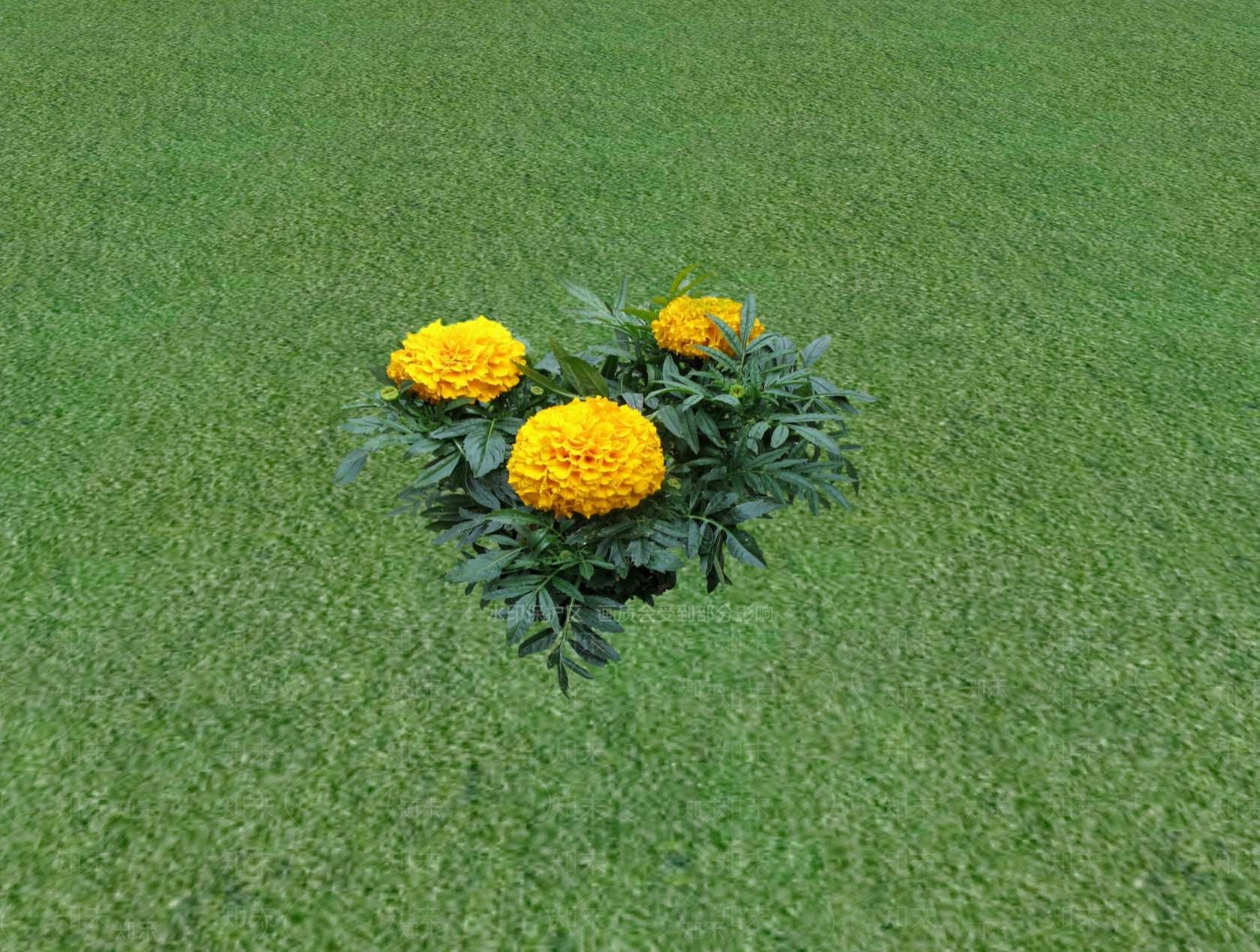 花草SU模型下载【ID:1201527632】