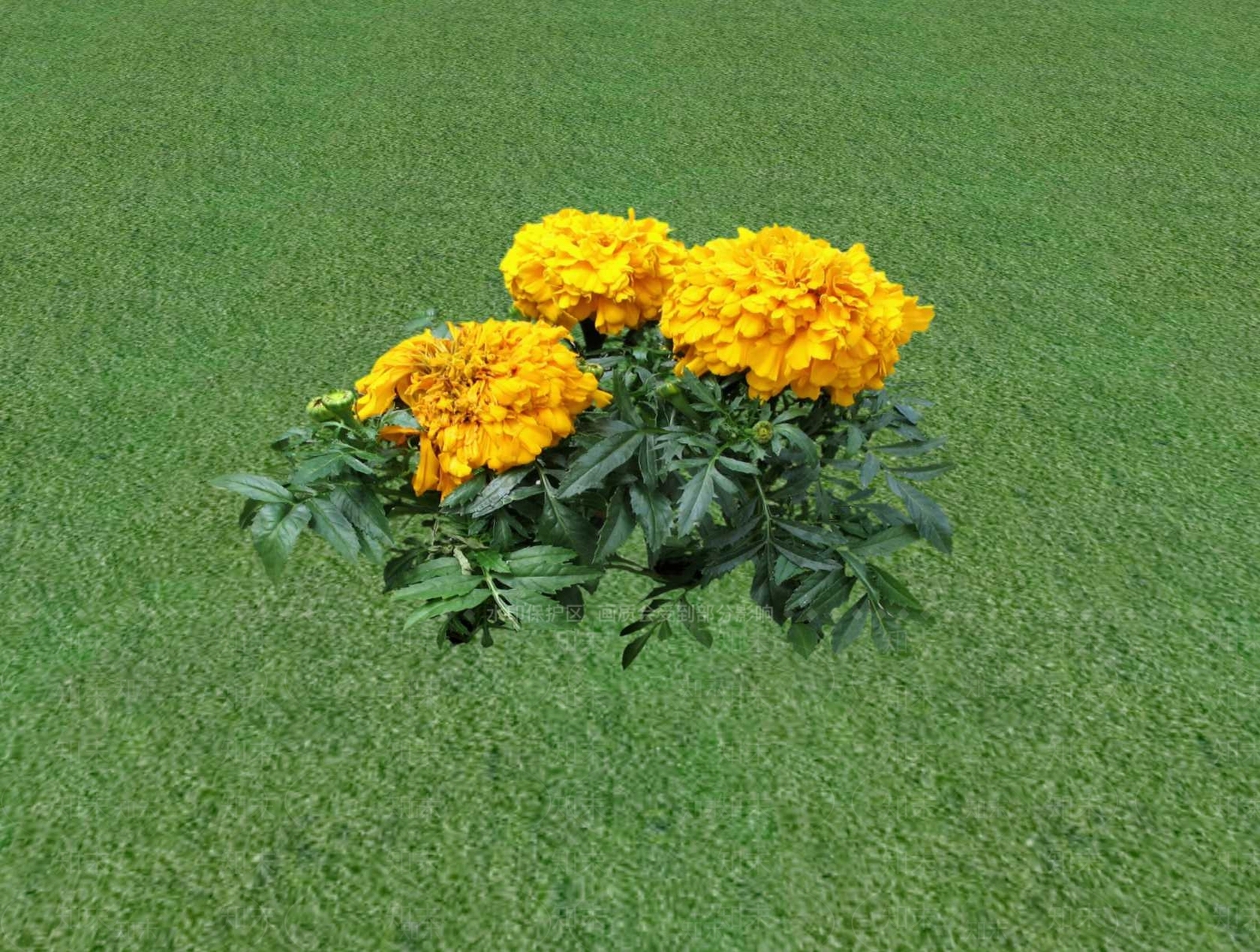 花草SU模型下载【ID:1201527684】