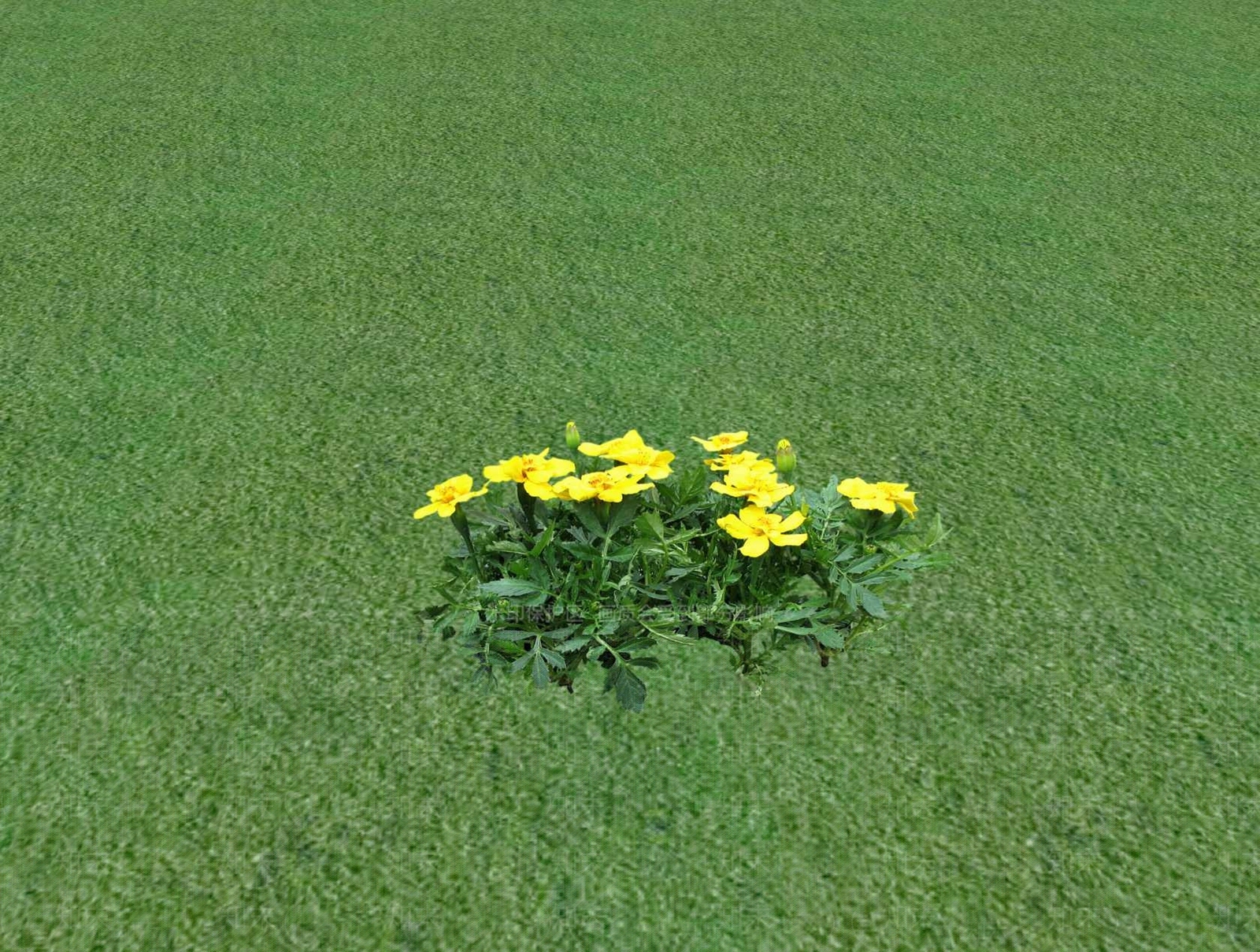 花草SU模型下载【ID:1201527676】