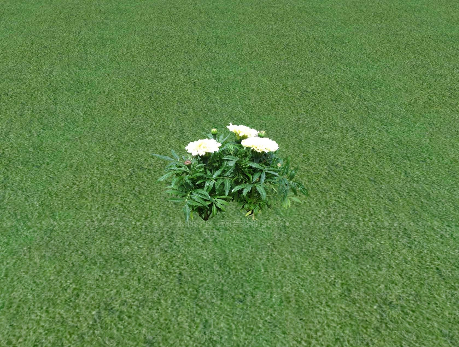 花草SU模型下载【ID:1201527648】