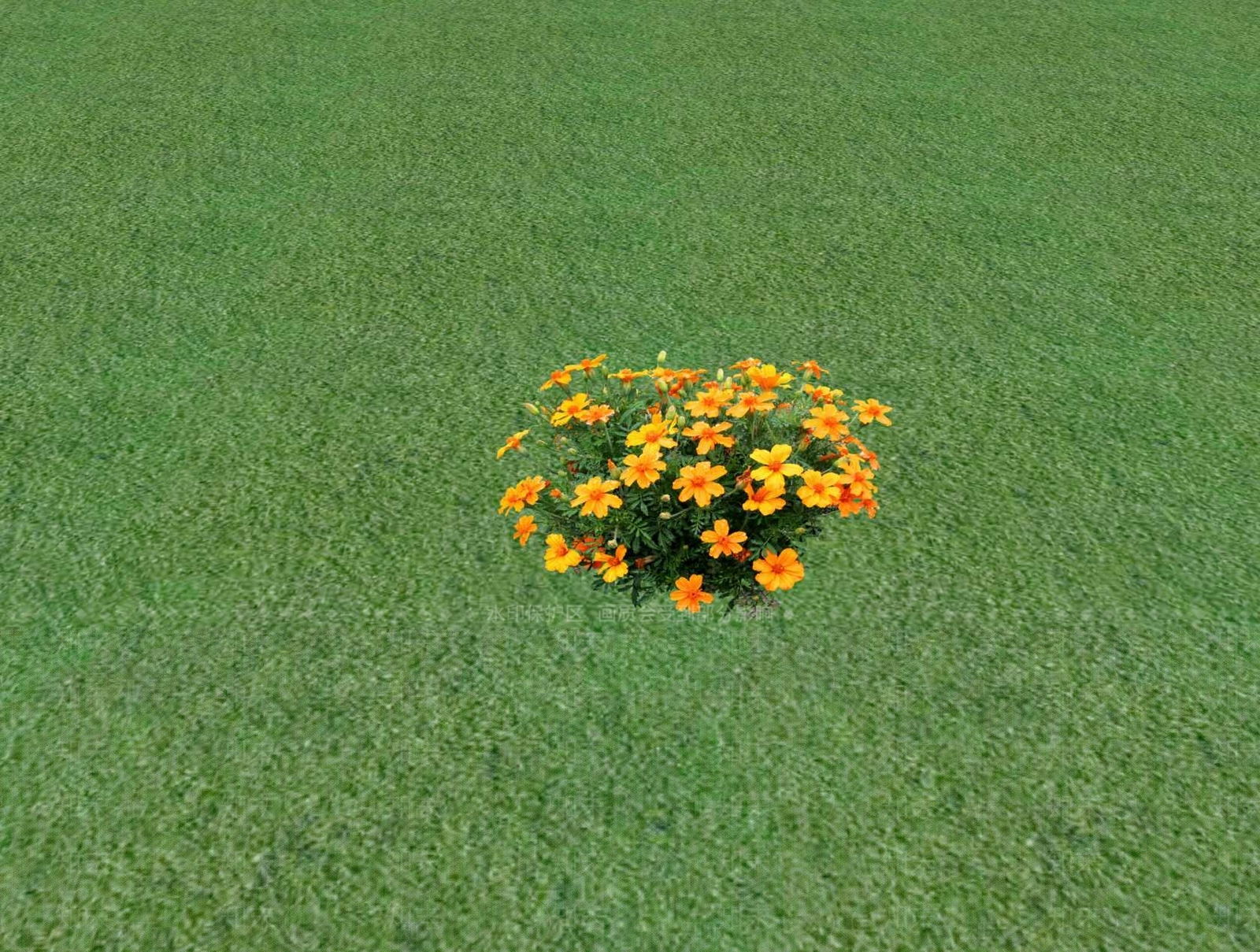 花草SU模型下载【ID:1201527726】