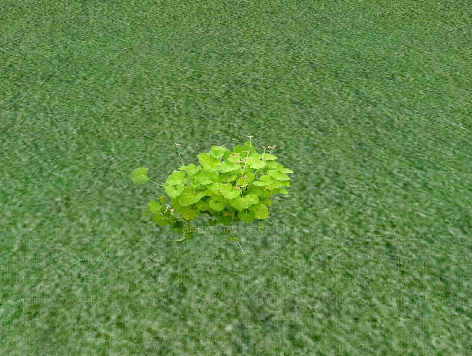 花草SU模型下载【ID:1201527839】