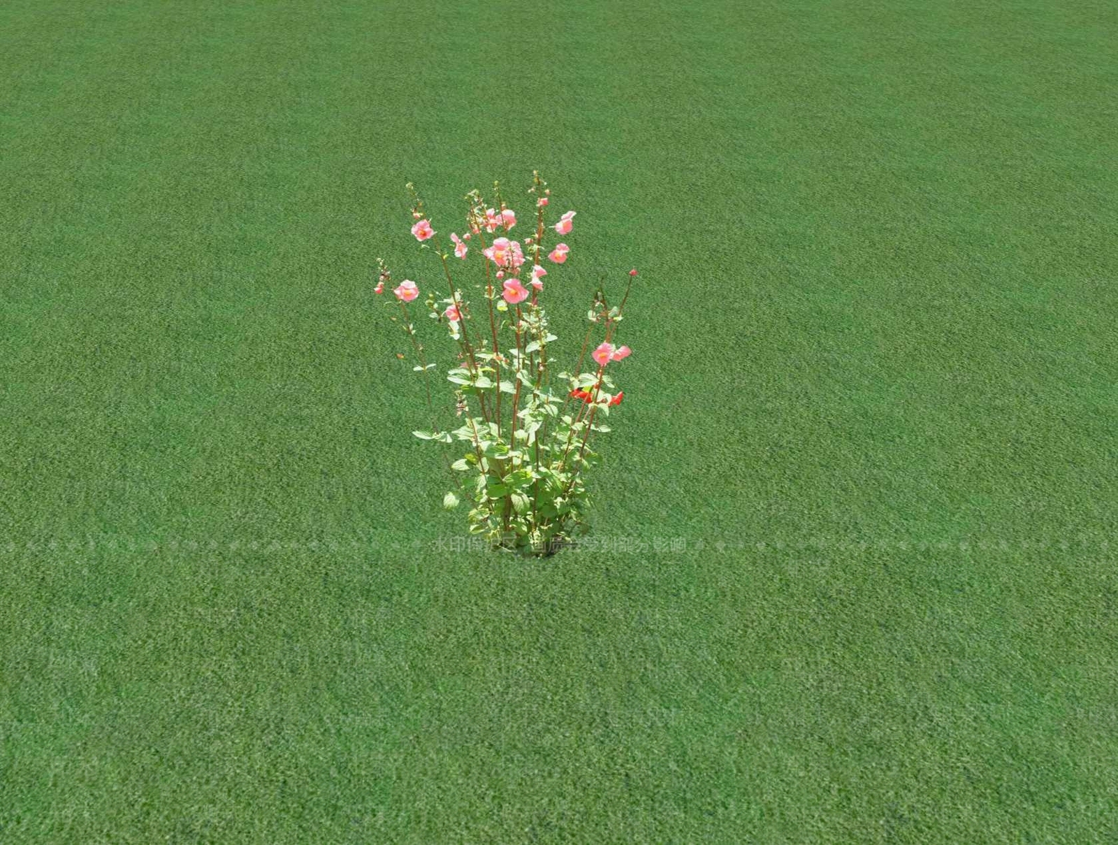 花草SU模型下载【ID:1201527901】