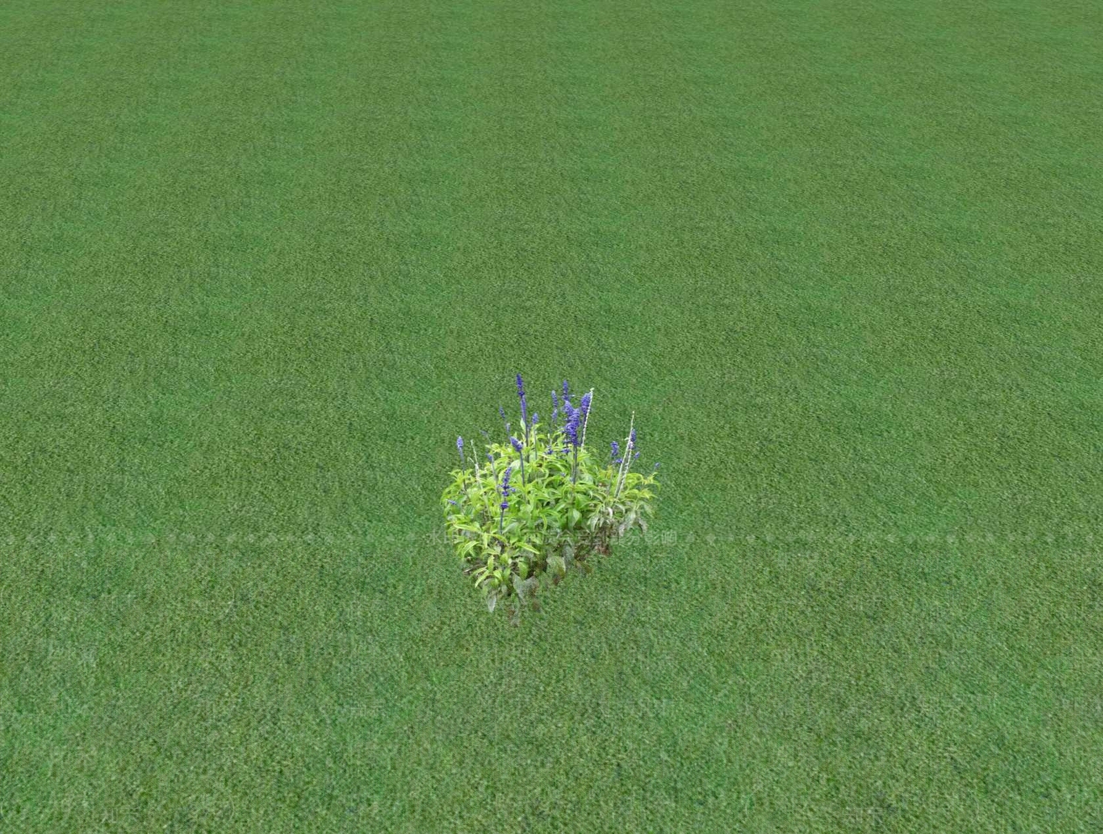 花草SU模型下载【ID:1201528515】