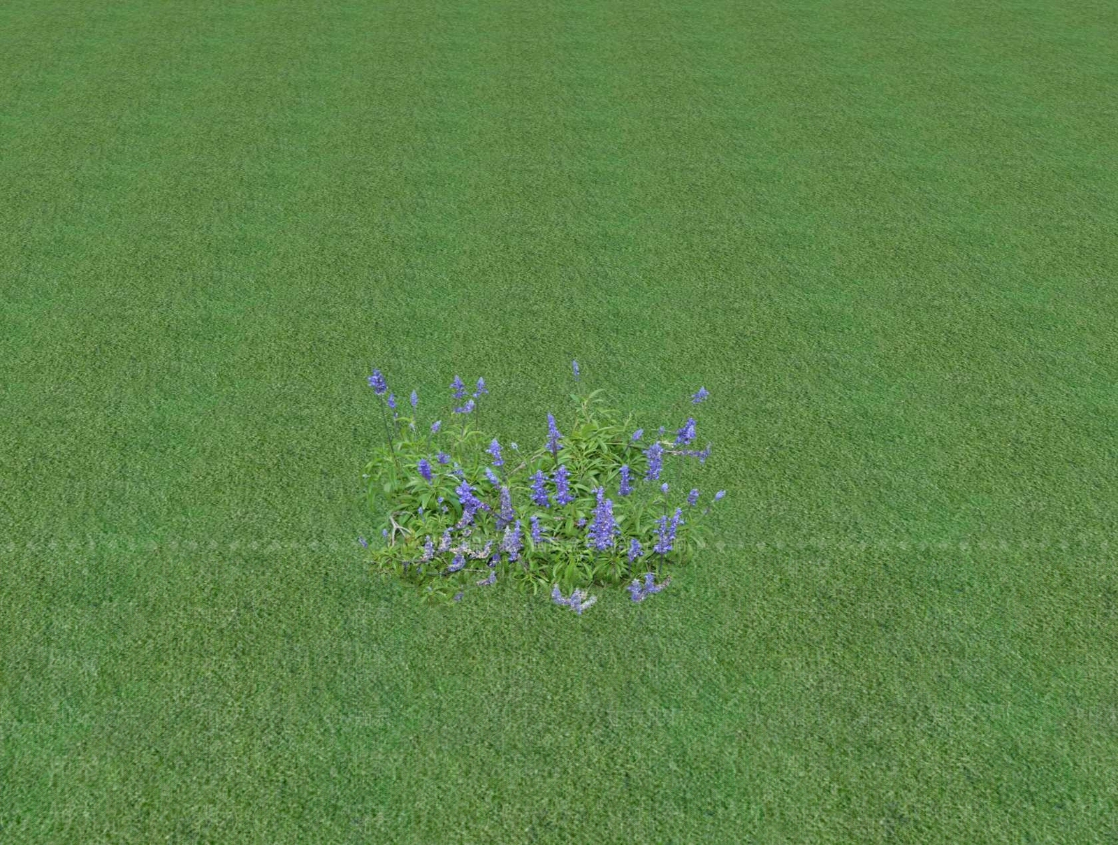 花草SU模型下载【ID:1201528578】