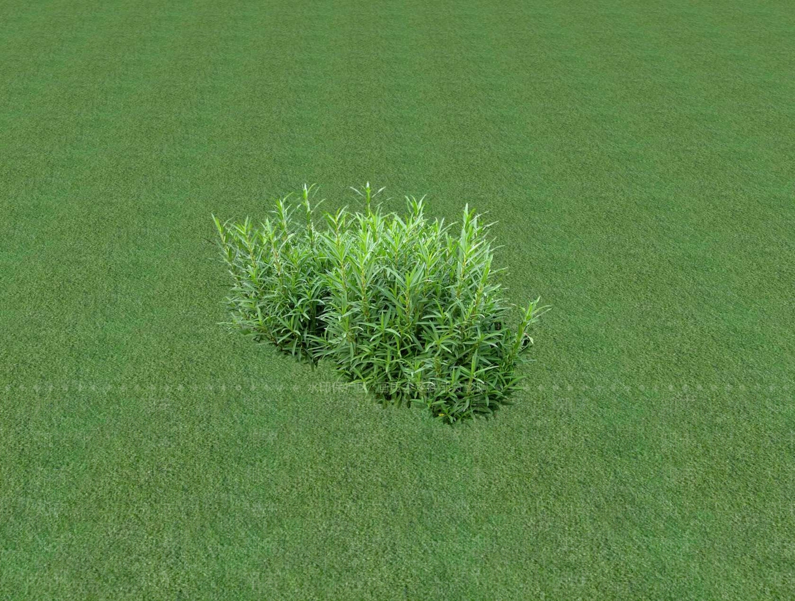 花草SU模型下载【ID:1201528604】