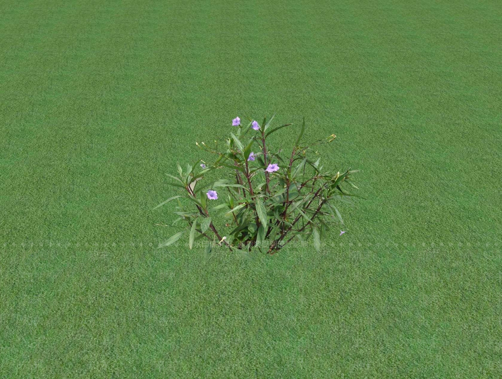 花草SU模型下载【ID:1201528711】