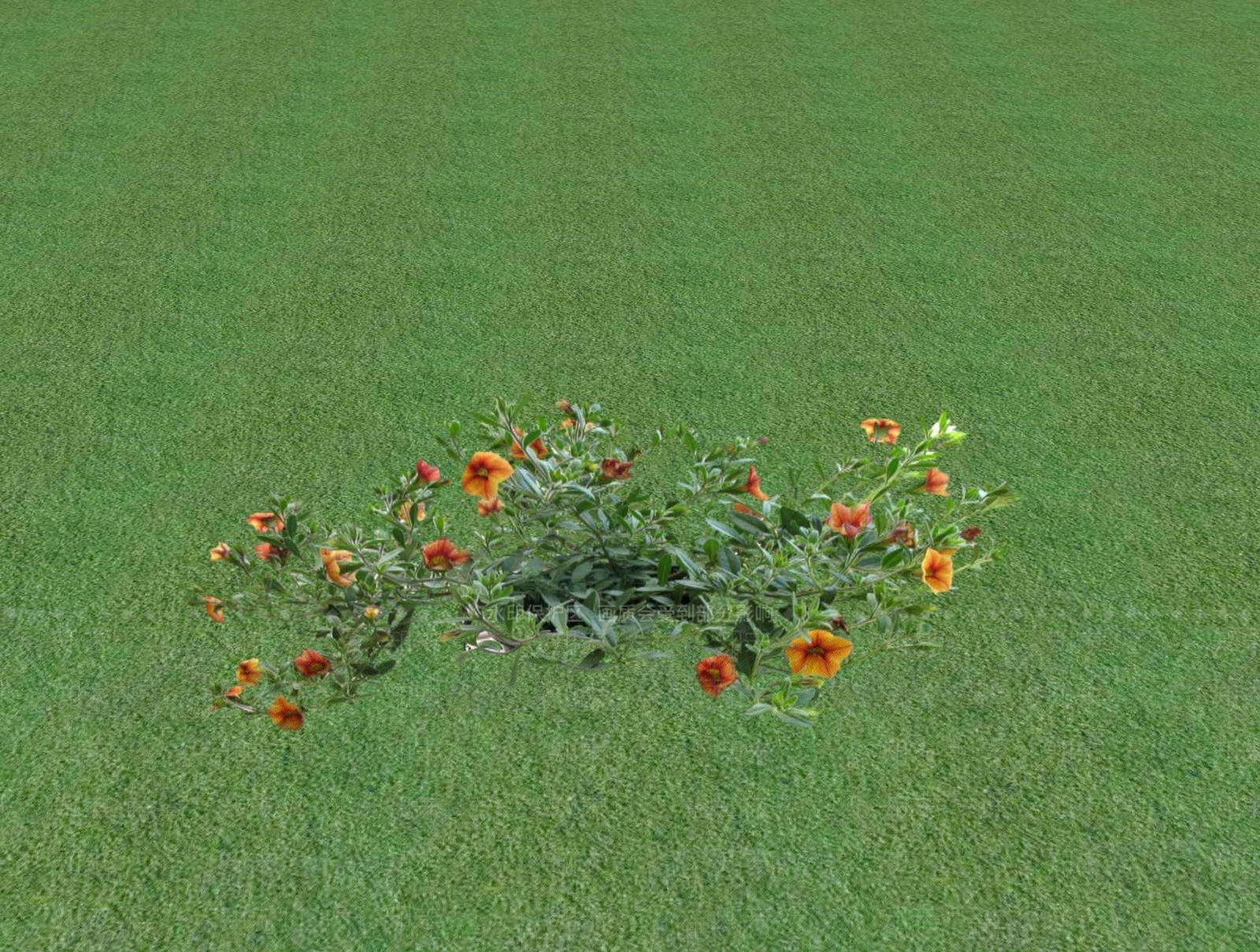 花草SU模型下载【ID:1201528828】