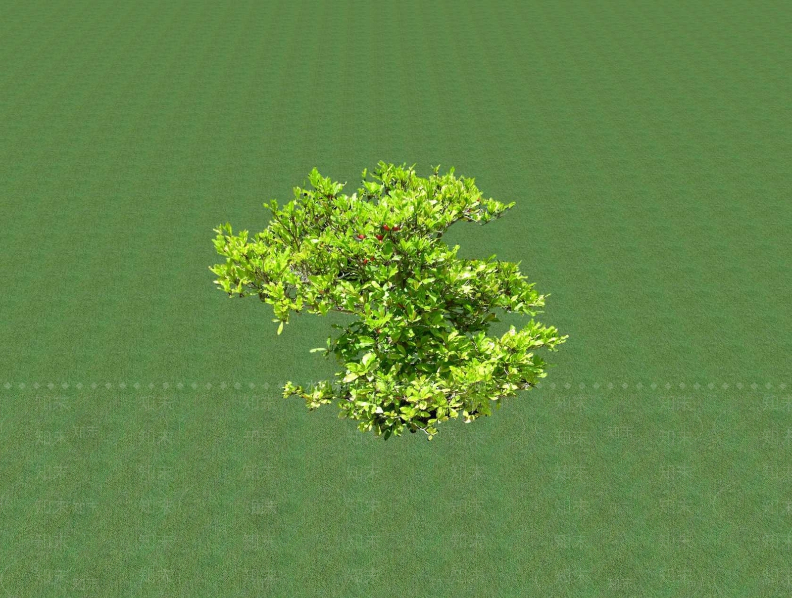 花草SU模型下载【ID:1201529070】