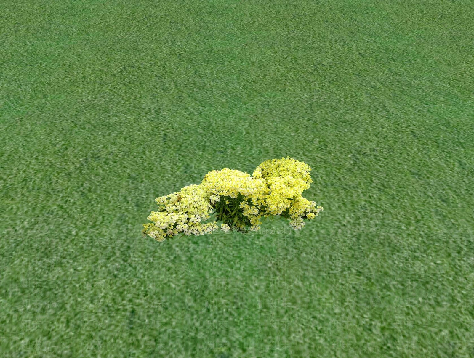 花草SU模型下载【ID:1201529211】