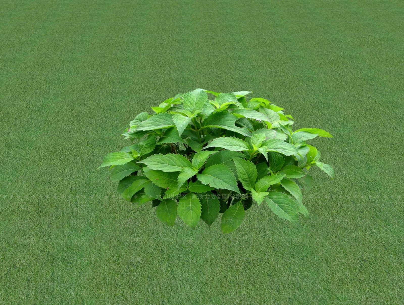 花草SU模型下载【ID:1201529378】