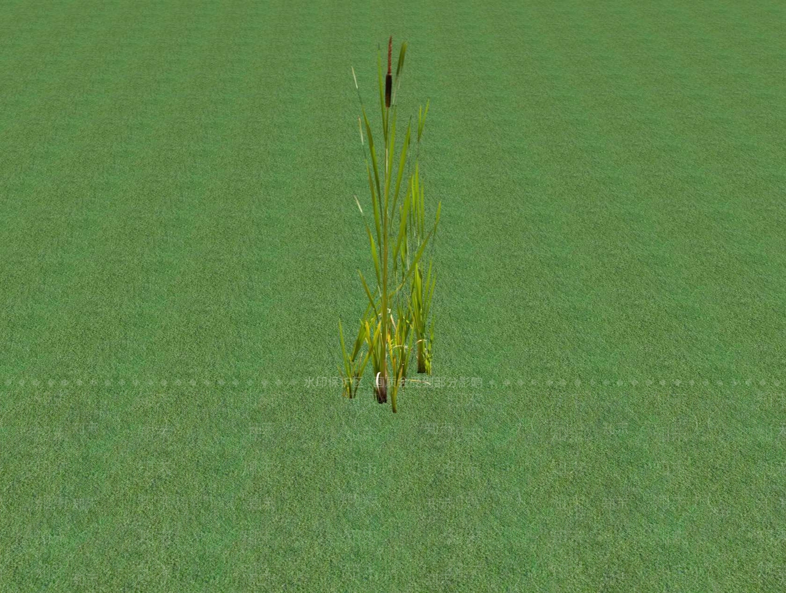 花草SU模型下载【ID:1201529457】