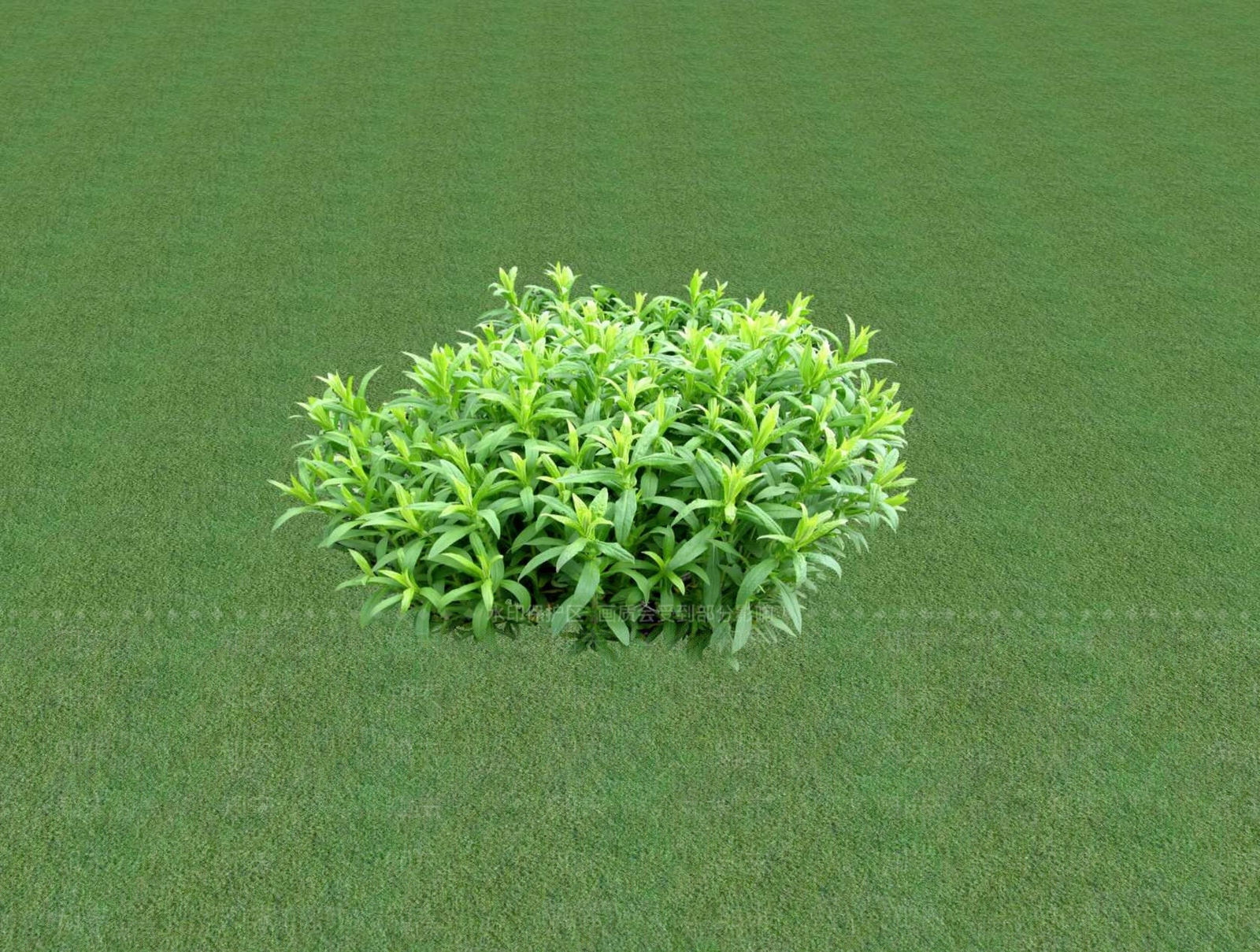 花草SU模型下载【ID:1201529522】