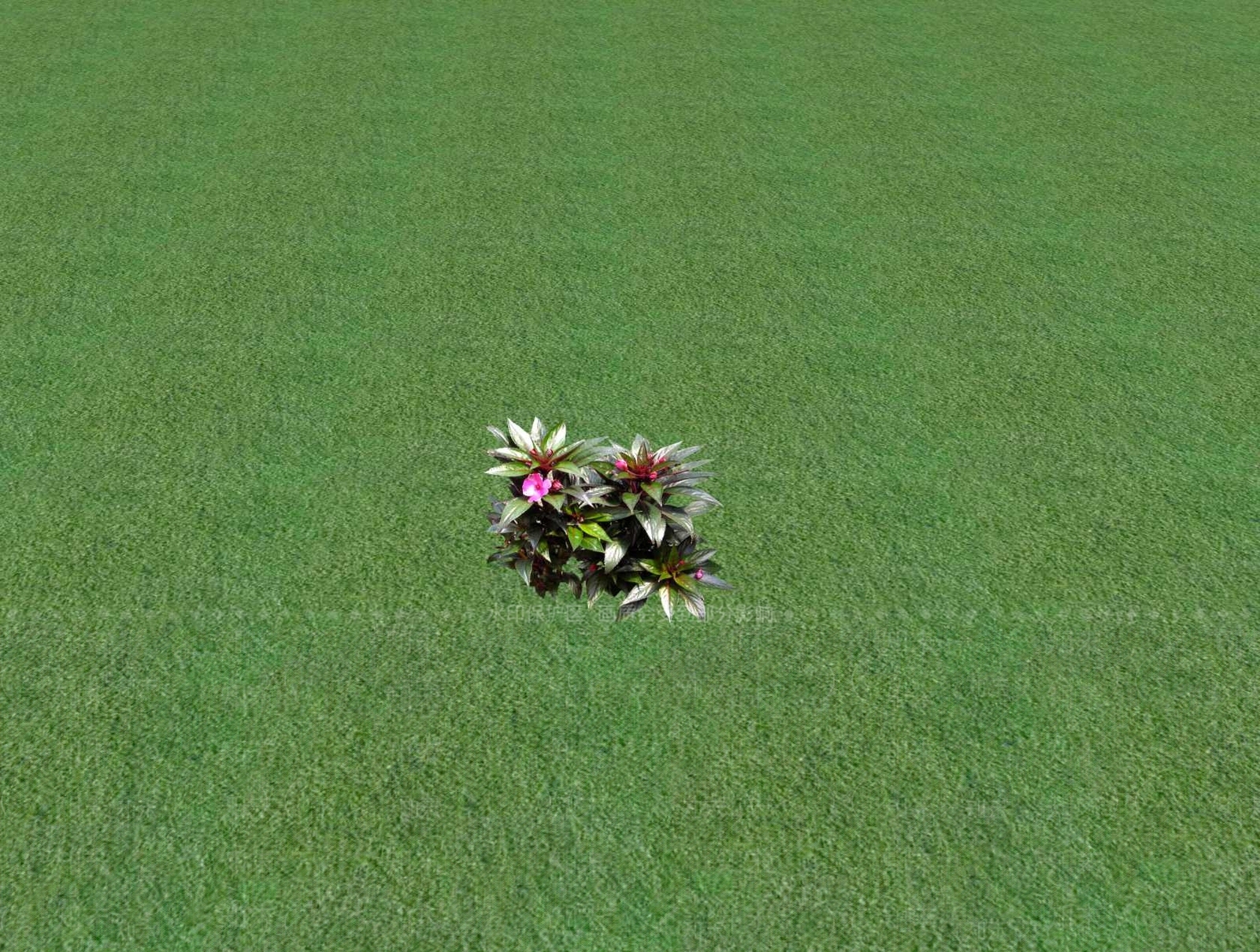 花草SU模型下载【ID:1201529596】