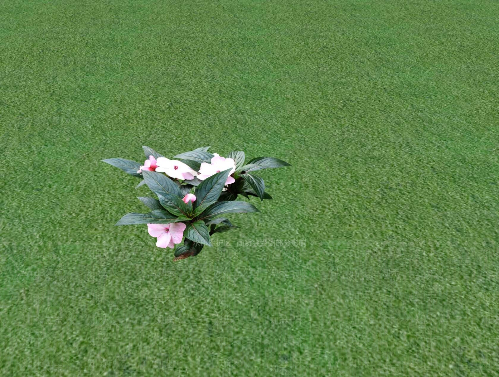 花草SU模型下载【ID:1201529636】