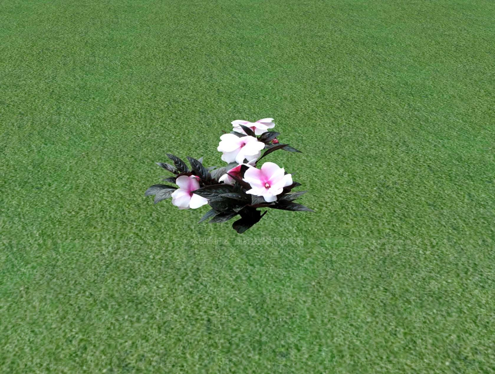 花草SU模型下载【ID:1201529760】