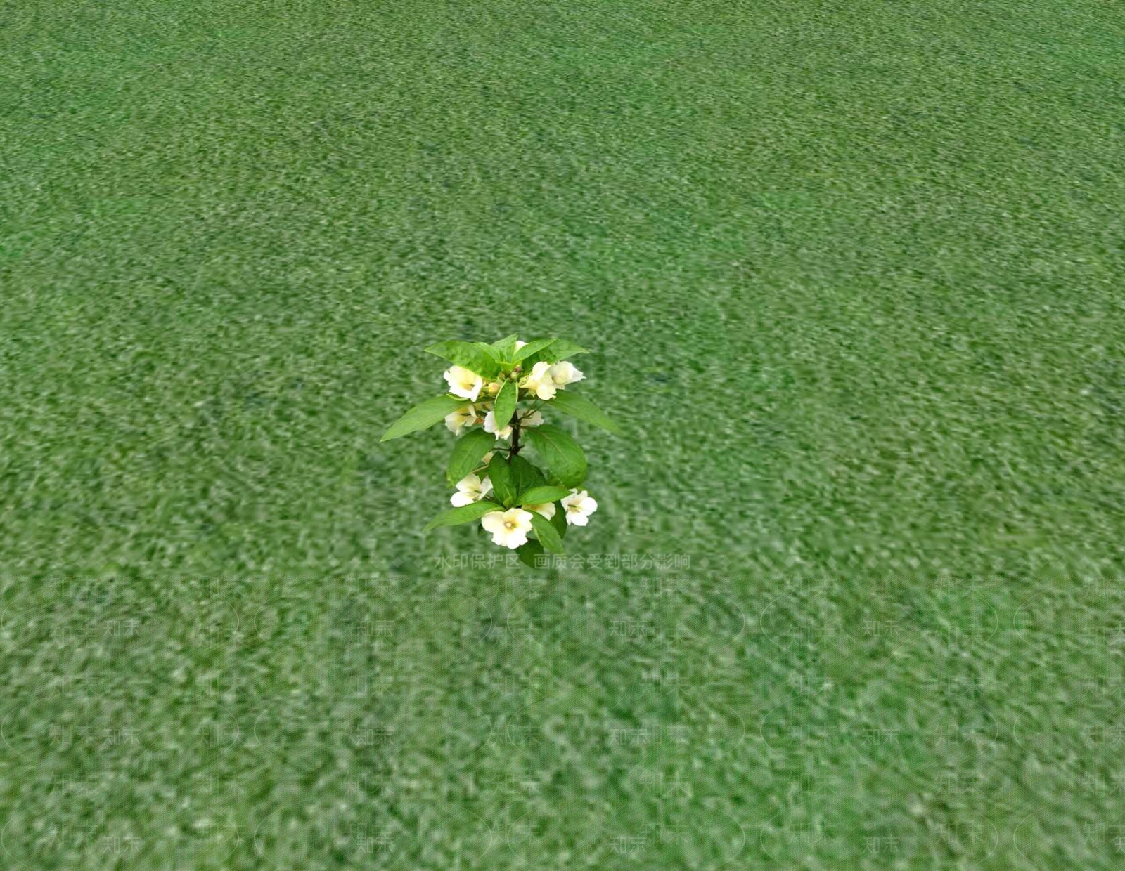 花草SU模型下载【ID:1201529768】