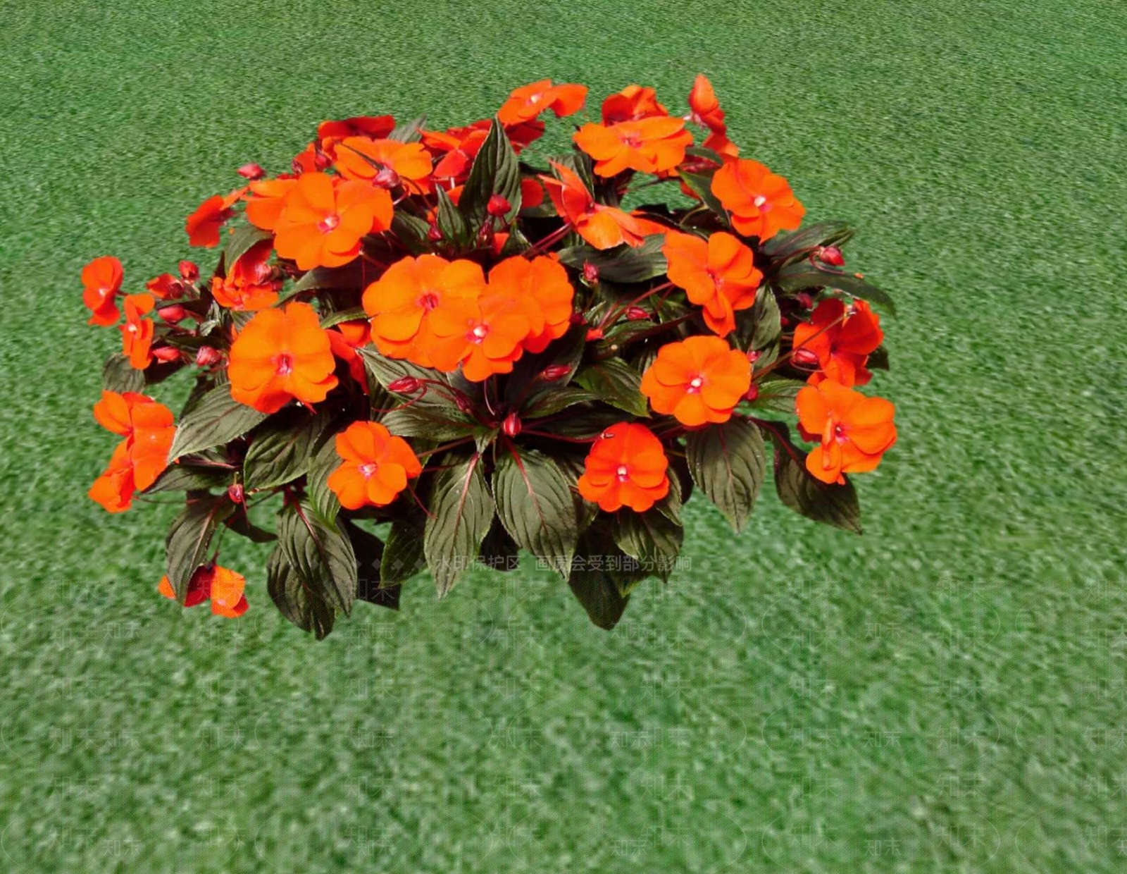 花草SU模型下载【ID:1201529891】