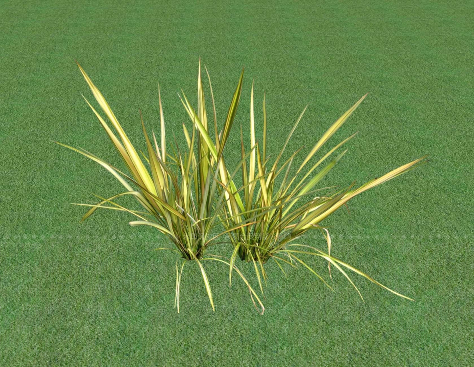 花草SU模型下载【ID:1201529854】