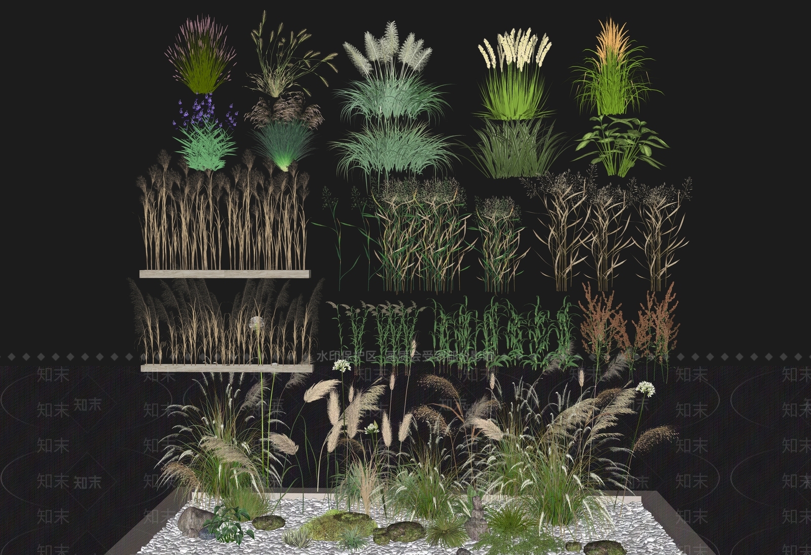 水生植物SU模型下载【ID:1201532442】