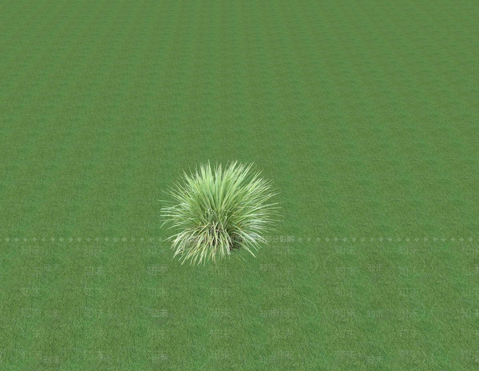 花草SU模型下载【ID:1201545869】